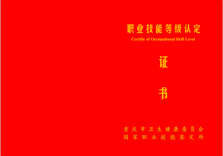 職業(yè)技能等級(jí)證書封面